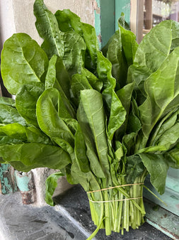 Botte de blette courte de St Isidore -agriculture raisonnée