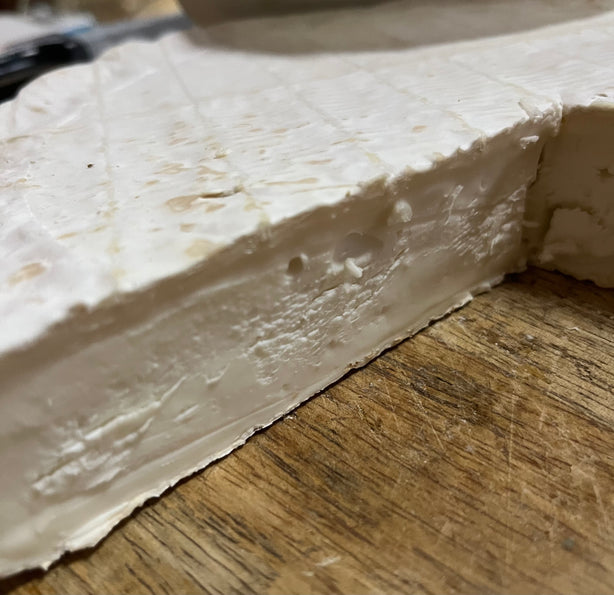 Tomme de chèvre cabriette BIO - Chèvrerie de la Lémance