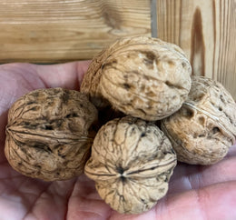 Noix sèche - BIO - Lot, France (les 100g)