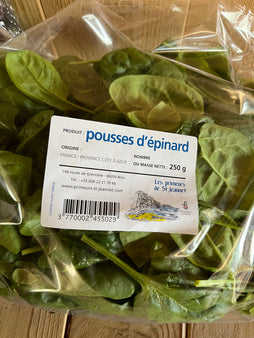 Pousses d'épinard en sachet de 250G - agriculture raisonnée - St Jeannet