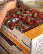 PROMO lot de 2 barquettes de fraise Dream (barquettes de 250g) - agriculture raisonnée - La Gaude ou St Isidore