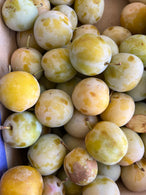 Prune jaune reine claude dorée - BIO -  France (les 500g)