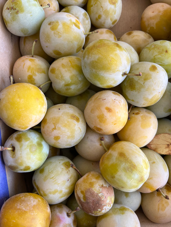 Prune jaune reine claude dorée - BIO -  France (les 500g)