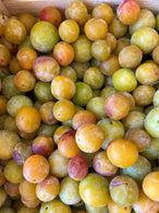 Prune jaune mirabelle - BIO - France (les 100g)