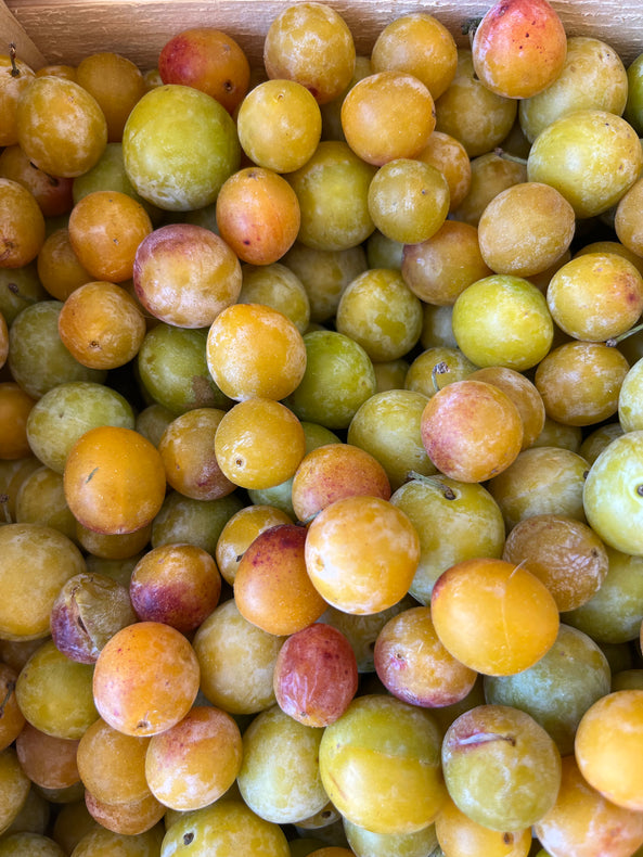 Prune jaune mirabelle - BIO - France (les 100g)