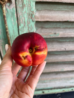 Nectarine jaune - BIO- France (les 500g)