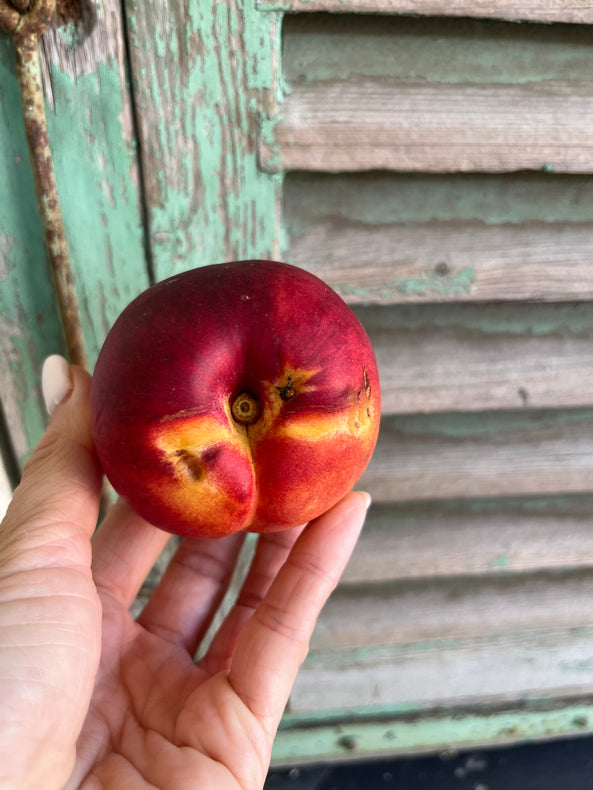Nectarine jaune - BIO- France