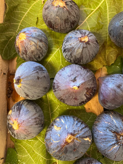 Figue violette - agriculture raisonnée - Var (les 100g)