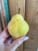 Poire Guyot - agriculture biologique - Hautes Alpes