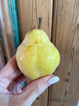 Poire Guyot - agriculture biologique - Hautes Alpes