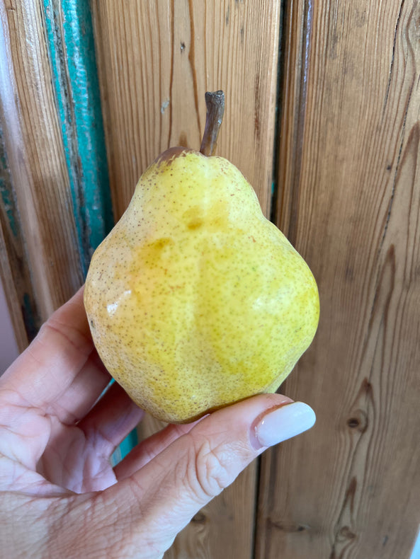 Poire Guyot - agriculture biologique - Hautes Alpes