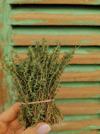 Bouquet de thym frais - agriculture raisonnée - St Isidore