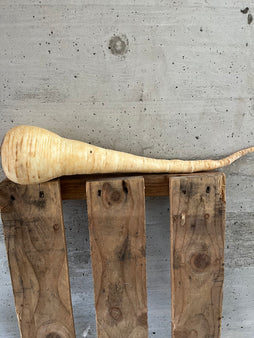 Panais BIO - Bretagne