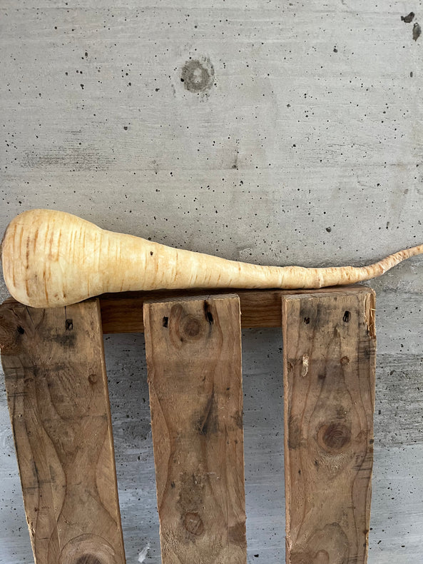 Panais BIO - Bretagne