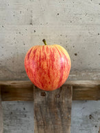Pomme Gala - BIO - Provence, France (les 500g)