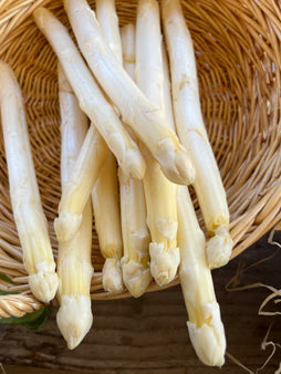 Asperge blanche (les 100g) - BIO - Sud ouest