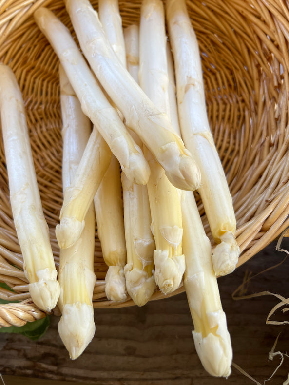 Asperge blanche (les 100g) - BIO - Sud ouest