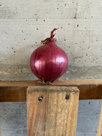Oignon violet demi sec  - BIO - France