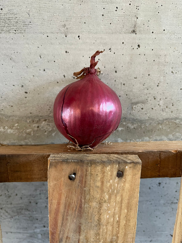 Oignon violet demi sec  - BIO - France