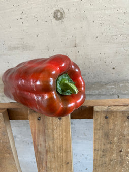 Poivron rouge - BIO - Italie