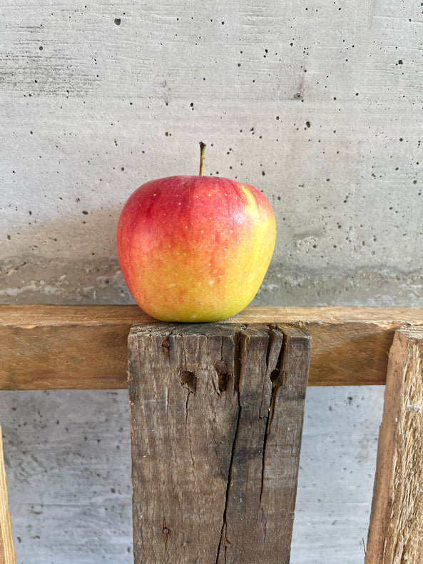 Pomme swing - BIO - France