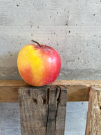Pomme Fuji nouvelle récolte - producteur Entrevaux, France