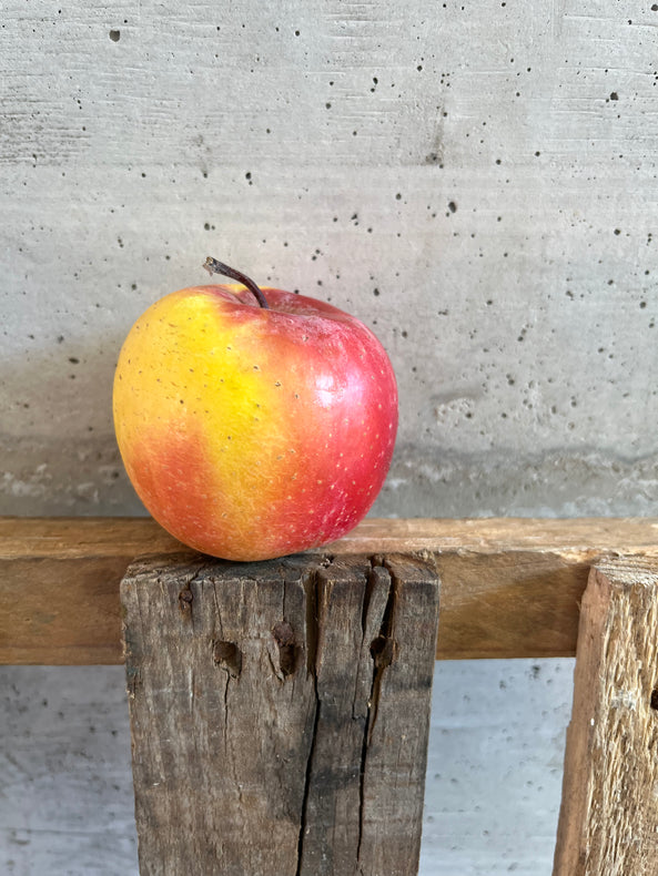 Pomme Fuji nouvelle récolte - producteur Entrevaux, France