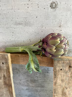 Artichaut violet (en bouquet de 4 pièces) - production locale PACA, France