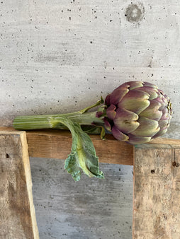 Artichaut violet (à l’unité) - production locale PACA, France