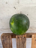 Pastèque (la pièce) - BIO- France