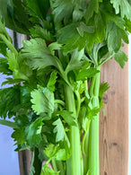 Céleri branche BIO - Vaucluse