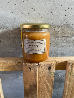 Miel de garrigue des « ruchers de Cipières  » -direct apiculteur (pot 250g)