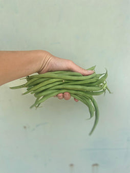 Haricot vert fin – agriculture naturelle - Cagnes sur mer (aux 100g)