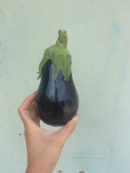 Aubergine de St Cézaire sur Siagne