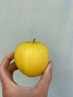 Pomme nouvelle Golden, Entrevaux - agriculture raisonnée