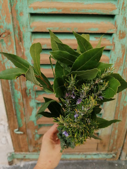 Bouquet d'herbes fraîches de St Isidore  - agriculture raisonnée