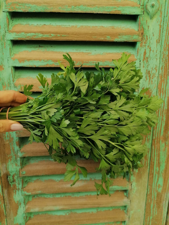 Bouquet d'herbes fraîches de St Isidore  - agriculture raisonnée